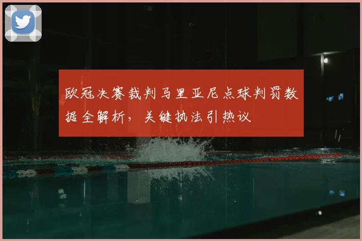欧冠决赛裁判马里亚尼点球判罚数据全解析，关键执法引热议